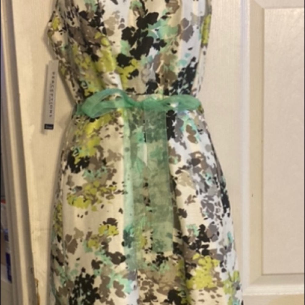 Beautiful Dress - Picture 7 of 8